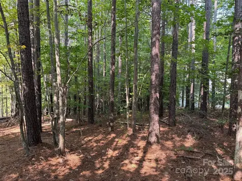 2347 Capes Cove Drive Sherrills Ford NC 28673
