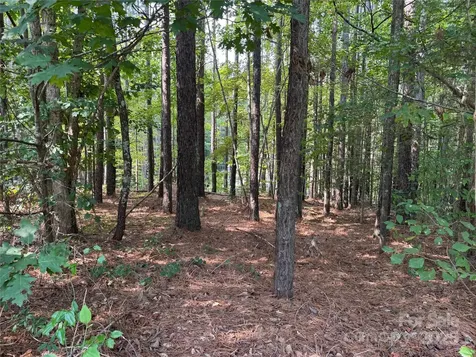 2347 Capes Cove Drive Sherrills Ford NC 28673