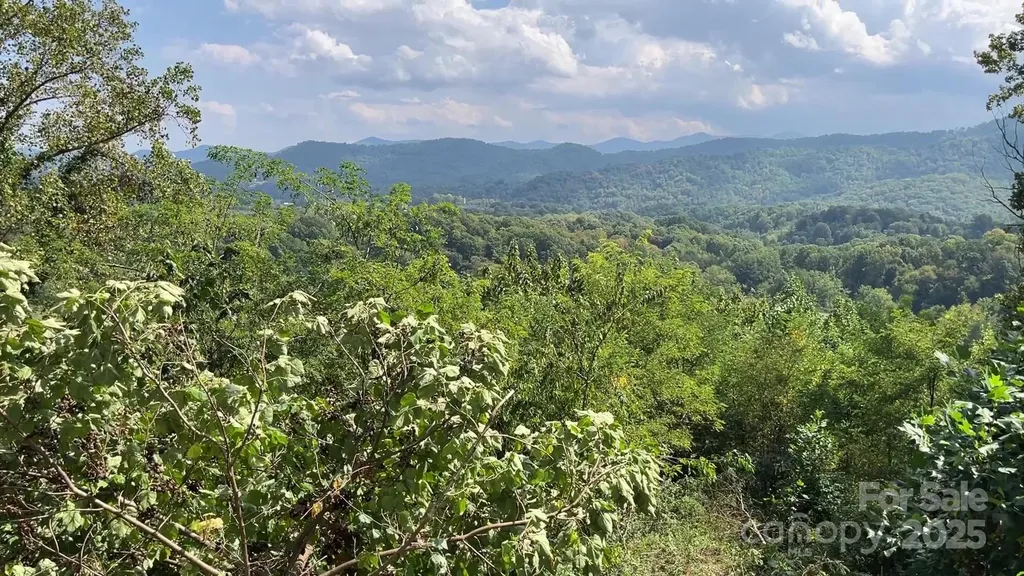 4 Summit View Drive Canton NC 28716