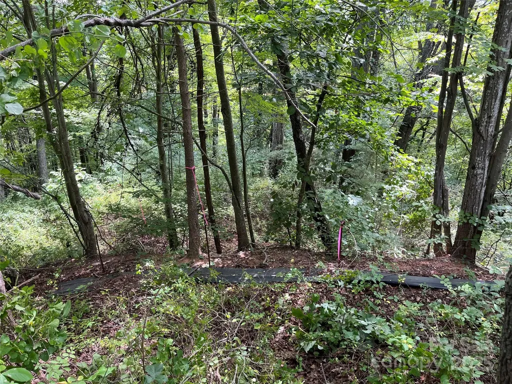 4 Summit View Drive Canton NC 28716