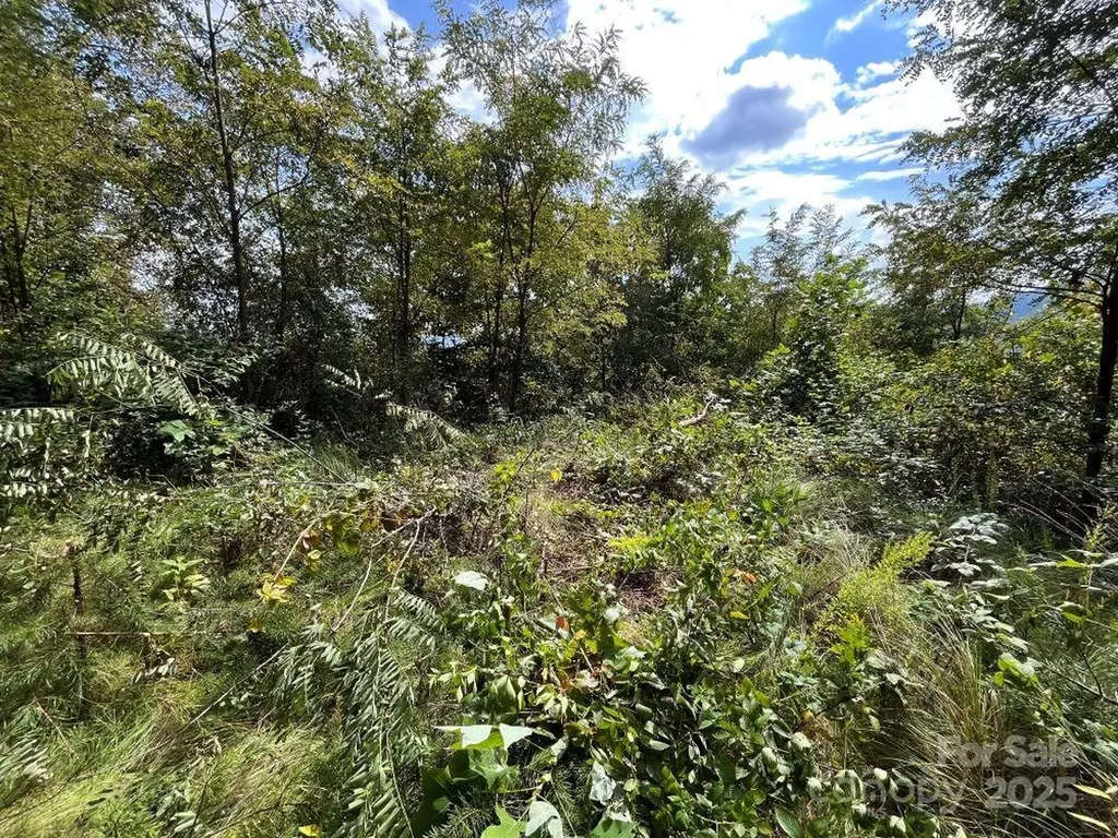 4 Summit View Drive Canton NC 28716