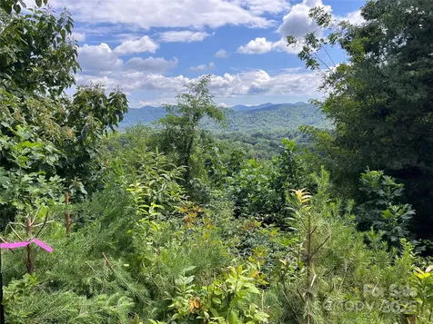 4 Summit View Drive Canton NC 28716