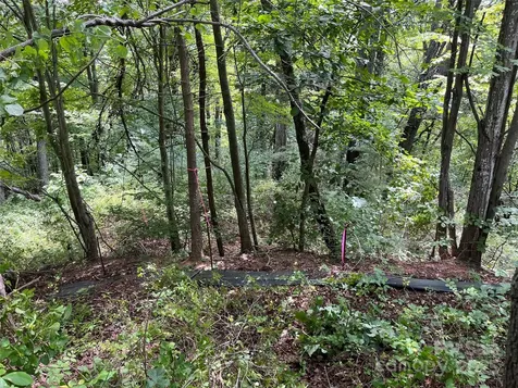 4 Summit View Drive Canton NC 28716