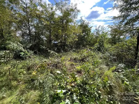 4 Summit View Drive Canton NC 28716