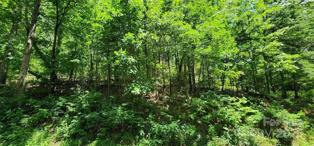 5 Lots White Oak Mountain Road Columbus NC 28722
