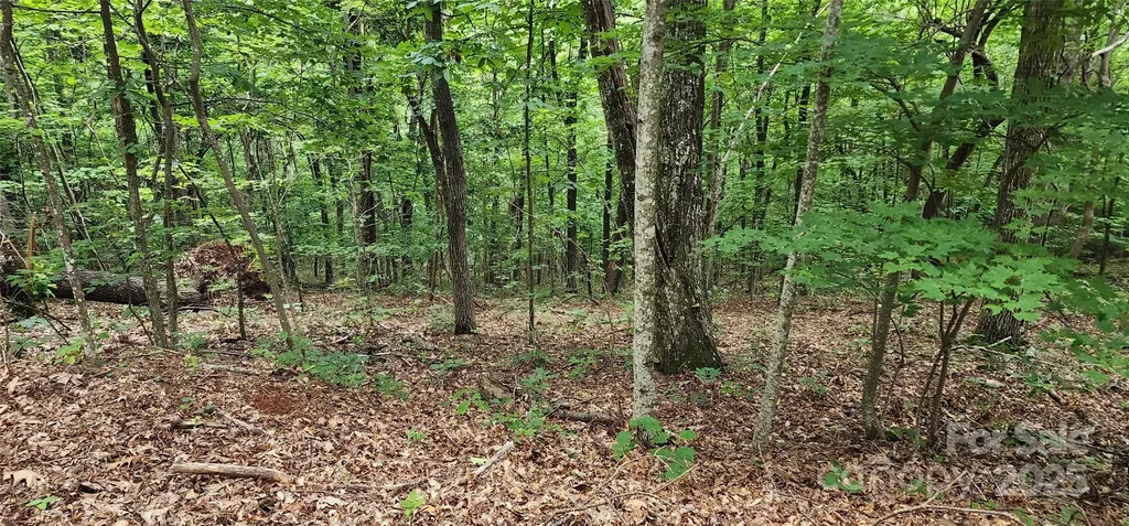 5 Lots White Oak Mountain Road Columbus NC 28722