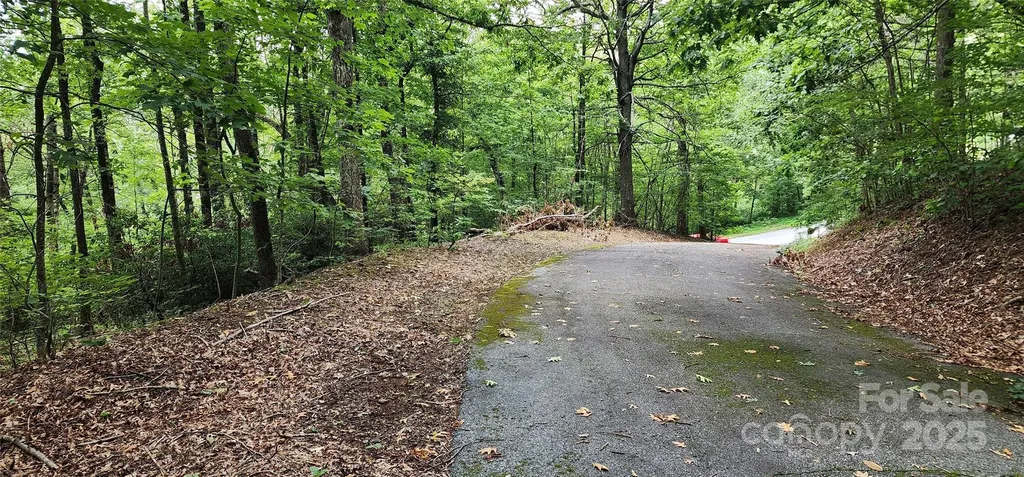 5 Lots White Oak Mountain Road Columbus NC 28722