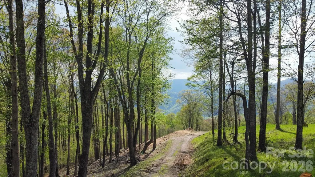 Tbd Nicholas Knoll Road Bakersville NC 28705