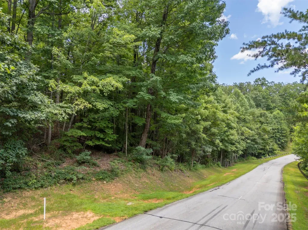 000 Deep Gap Farm Road E Mill Spring NC 28756