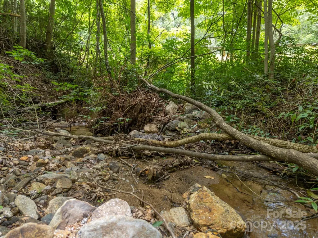 000 Deep Gap Farm Road E Mill Spring NC 28756