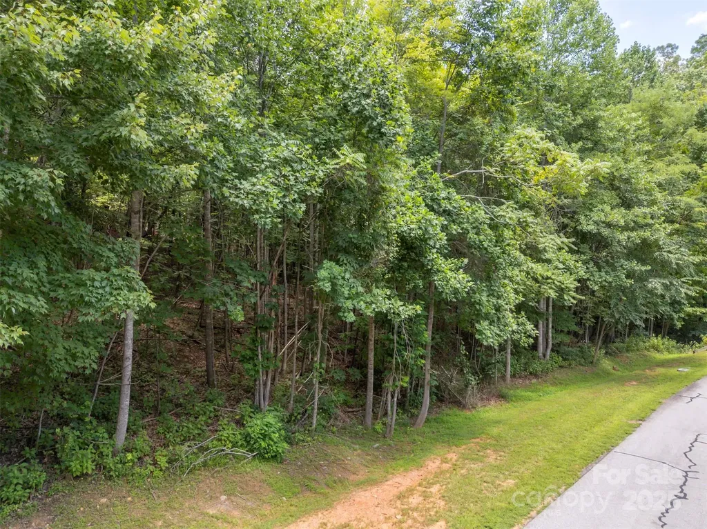 000 Deep Gap Farm Road E Mill Spring NC 28756