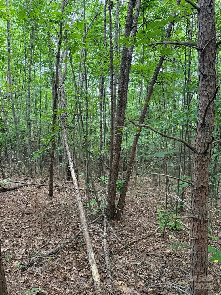 3994 Seitz Road Morganton NC 28655