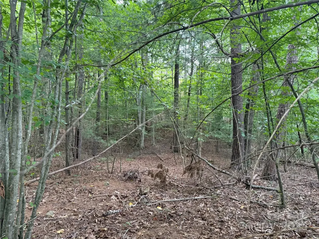 3994 Seitz Road Morganton NC 28655