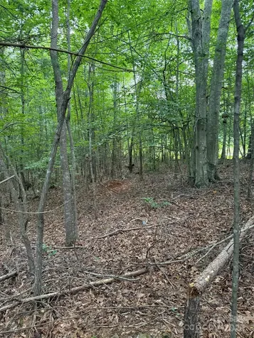3994 Seitz Road Morganton NC 28655