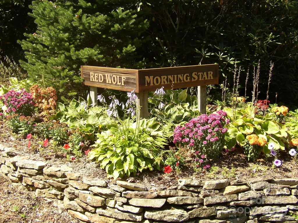 Lot 24 Red Wolf Blowing Rock NC 28605