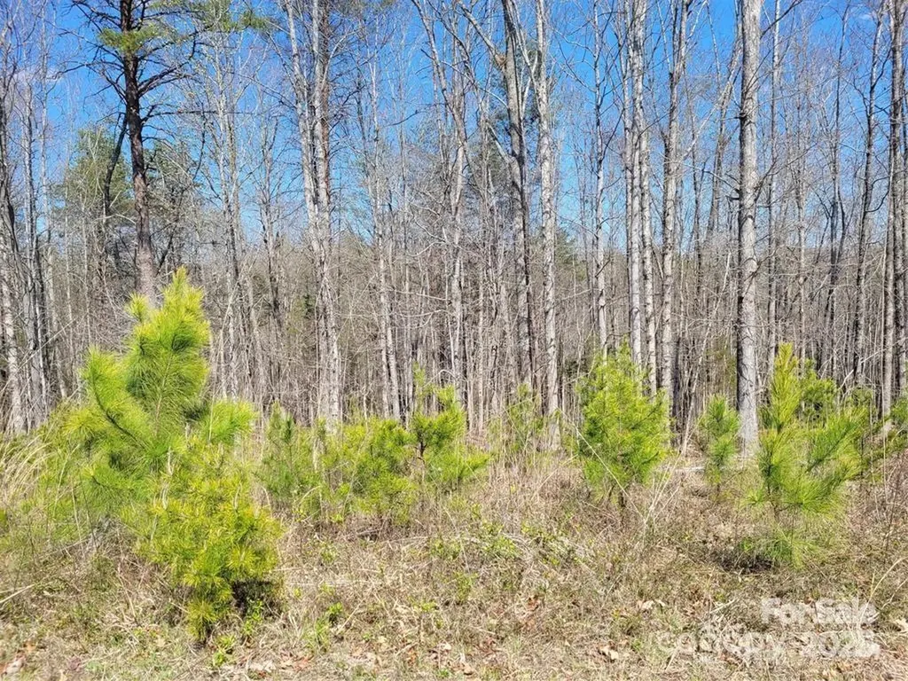 0 Boy Scout Road Rutherfordton NC 28139