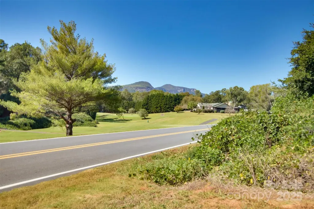 Lot 13 Buffalo Creek Road Lake Lure NC 28746
