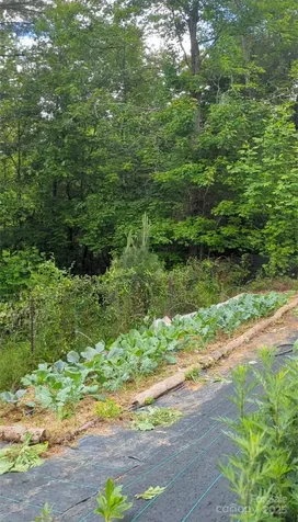 6 Sunrise Valley Leicester NC 28748