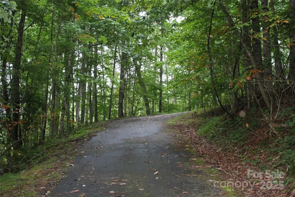 Lots 8 & 13 Laurel Hill Drive Spruce Pine NC 28777