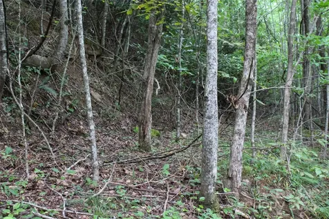 Lots 8 & 13 Laurel Hill Drive Spruce Pine NC 28777