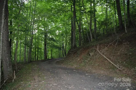 Lots 8 & 13 Laurel Hill Drive Spruce Pine NC 28777
