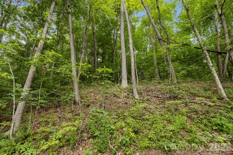 99999 Little Pisgah Road Gerton NC 28735