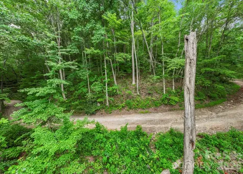 99999 Little Pisgah Road Gerton NC 28735