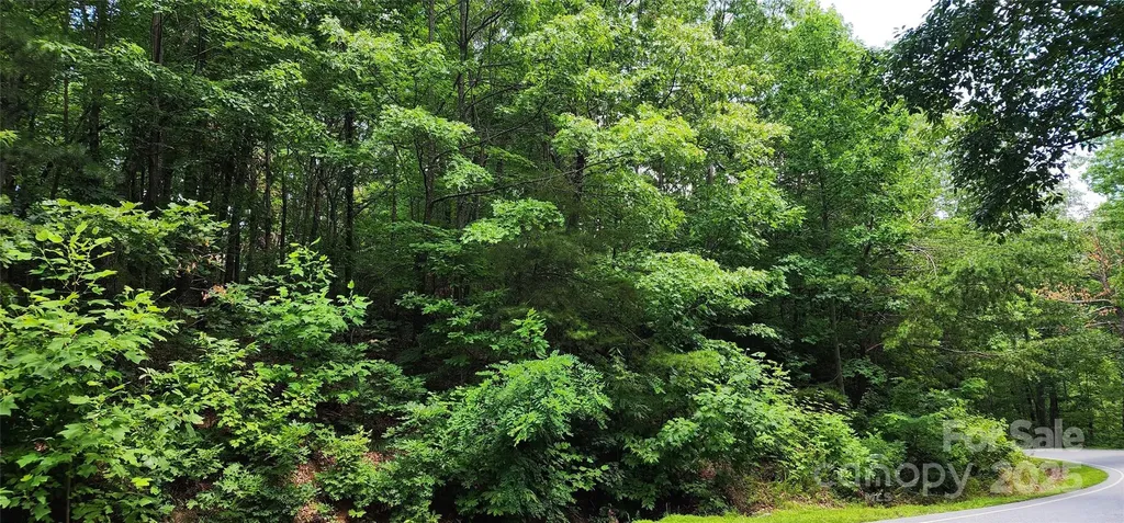 Lot 36 White Oak Mountain Road Columbus NC 28722