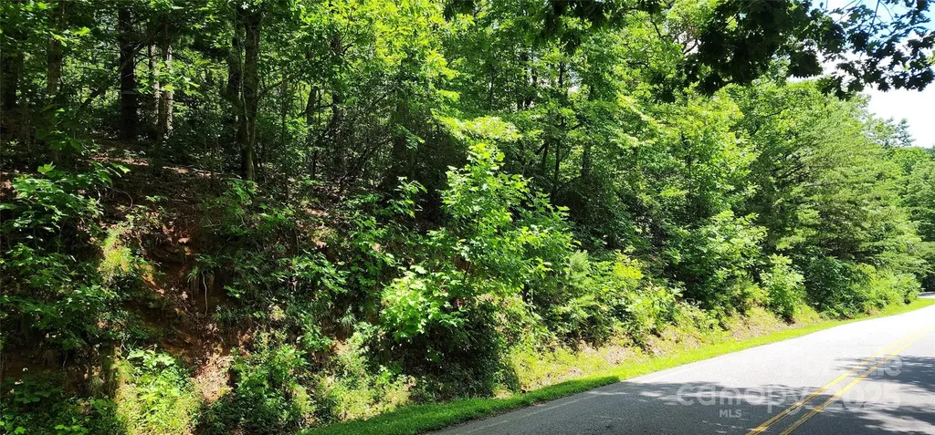 Lot 35 White Oak Mountain Road Columbus NC 28722