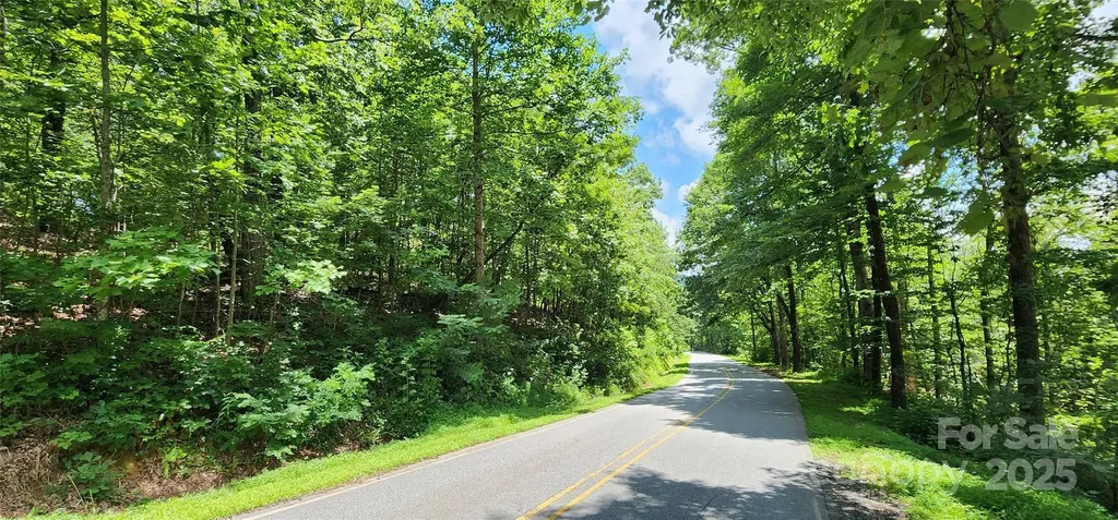 Lot 35 White Oak Mountain Road Columbus NC 28722