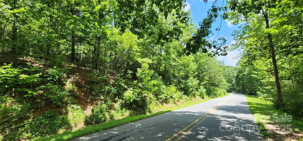Lot 35 White Oak Mountain Road Columbus NC 28722