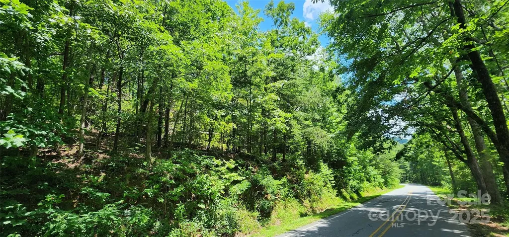 Lot 35 White Oak Mountain Road Columbus NC 28722