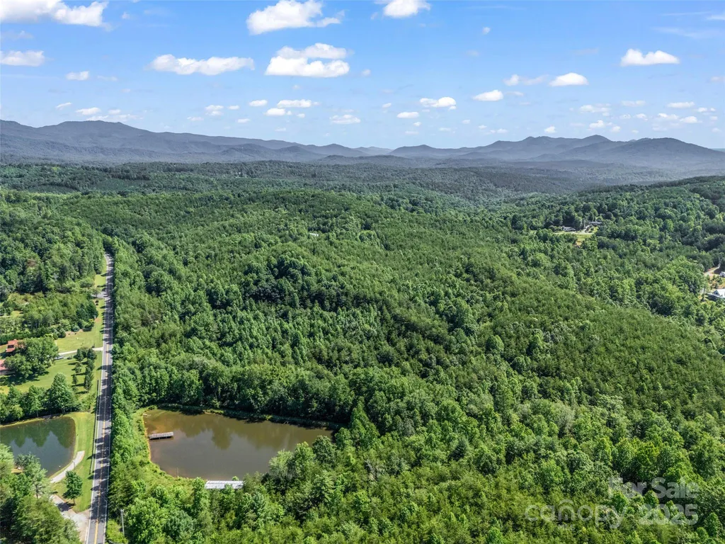 0000 Bills Creek Road Lake Lure NC 28746