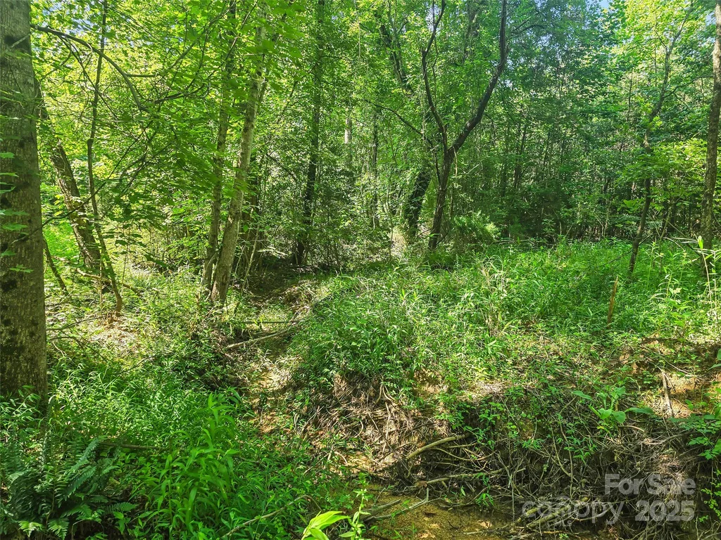0000 Bills Creek Road Lake Lure NC 28746