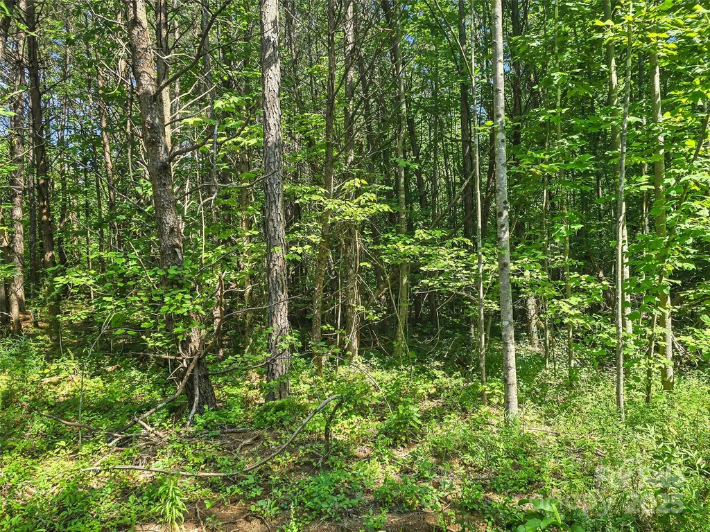 0000 Bills Creek Road Lake Lure NC 28746