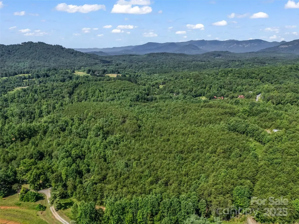 0000 Bills Creek Road Lake Lure NC 28746