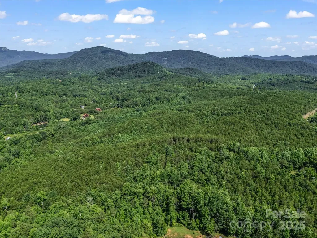 0000 Bills Creek Road Lake Lure NC 28746