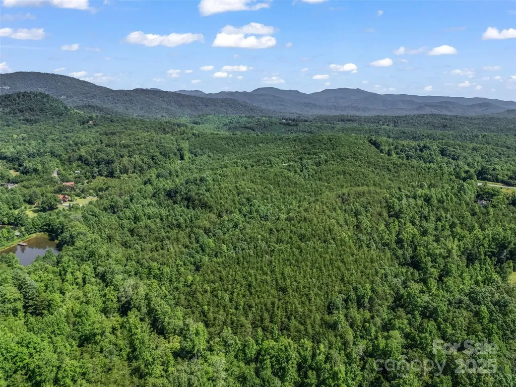 0000 Bills Creek Road Lake Lure NC 28746