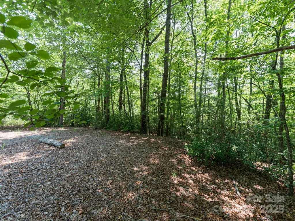 1000 Sutton Creek Road Pisgah Forest NC 28768
