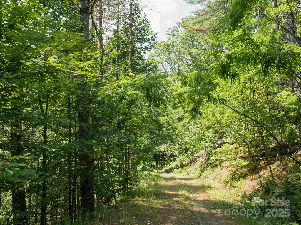 1000 Sutton Creek Road Pisgah Forest NC 28768