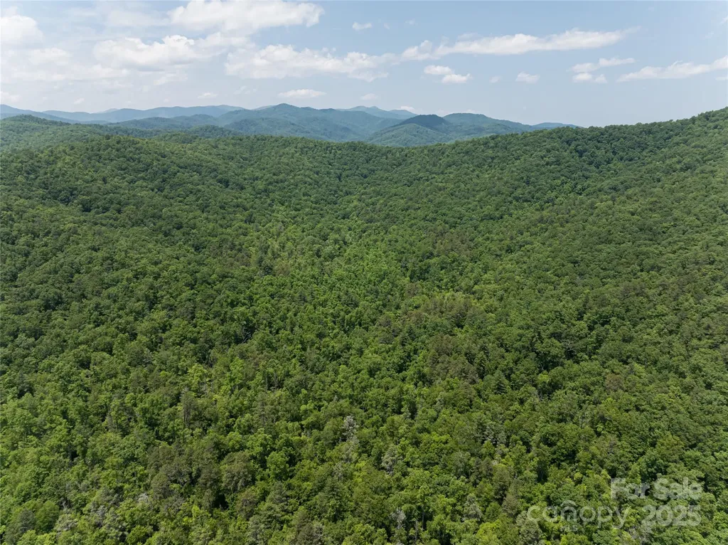 1000 Sutton Creek Road Pisgah Forest NC 28768