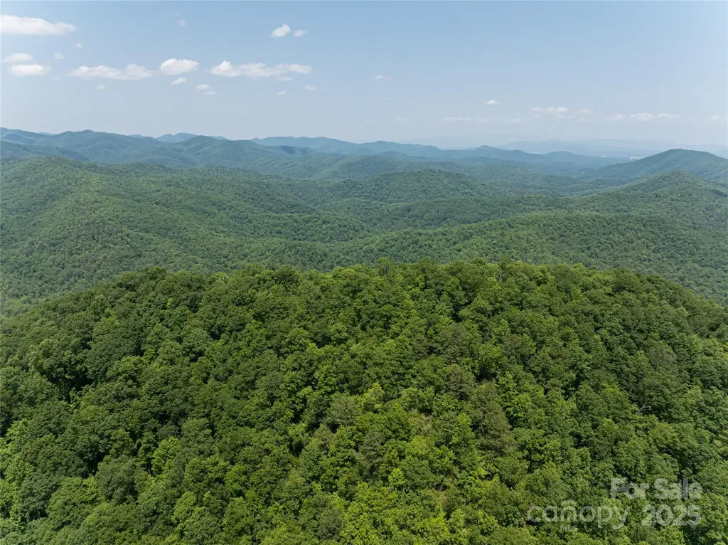 1000 Sutton Creek Road Pisgah Forest NC 28768