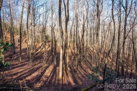 370 Moons Rest Lane Brevard NC 28712