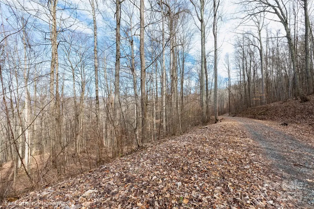 99999 Little Pond Pass Mars Hill NC 28754