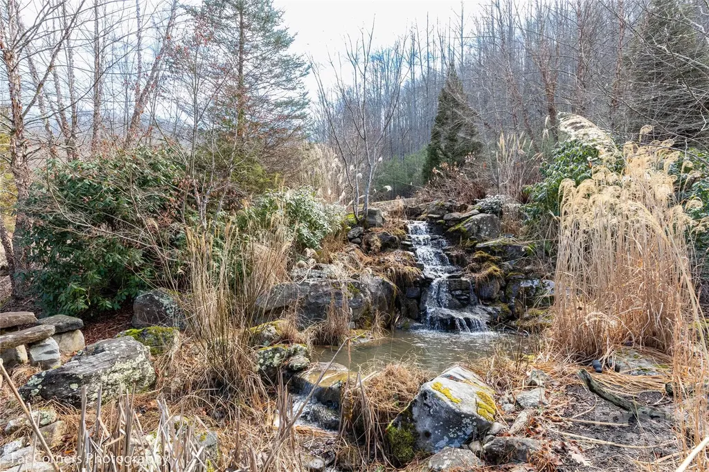 99999 Little Pond Pass Mars Hill NC 28754
