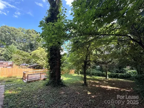1969 Margate Avenue Charlotte NC 28205