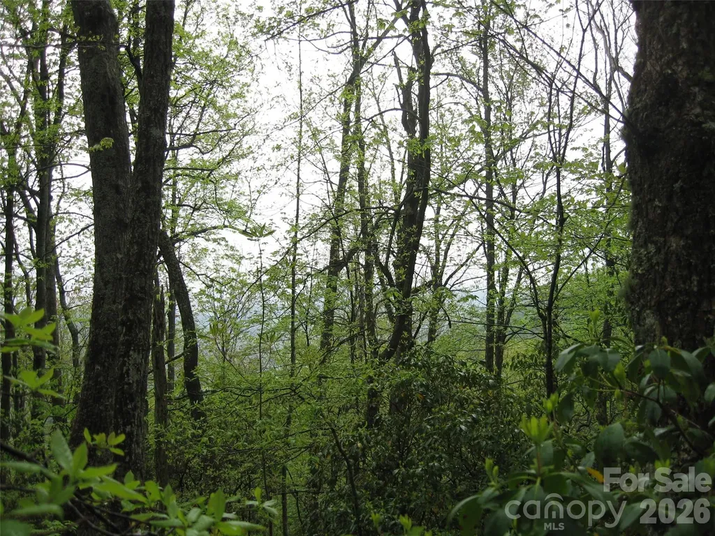 313 Line Runner Ridge Road Rosman NC 28772