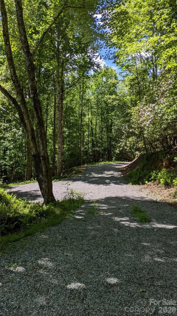313 Line Runner Ridge Road Rosman NC 28772
