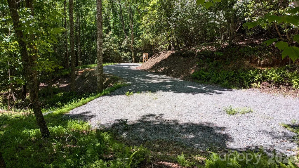 313 Line Runner Ridge Road Rosman NC 28772
