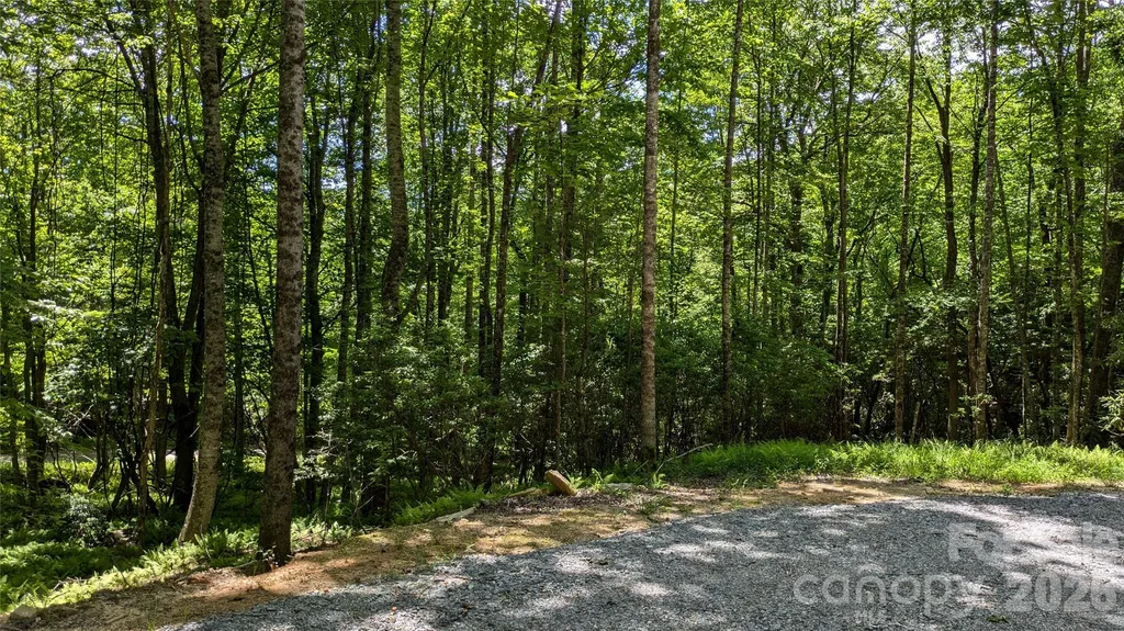313 Line Runner Ridge Road Rosman NC 28772